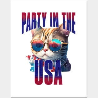 Cool Cat Party in the USA Independence Day Posters and Art